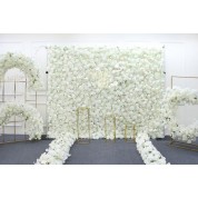 White Flower Creeping Plants Over Wall