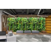 Outdoor Artificial Plants Vancouver