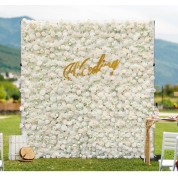 White Flower Creeping Plants Over Wall