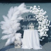 Drapey Wedding Backdrops