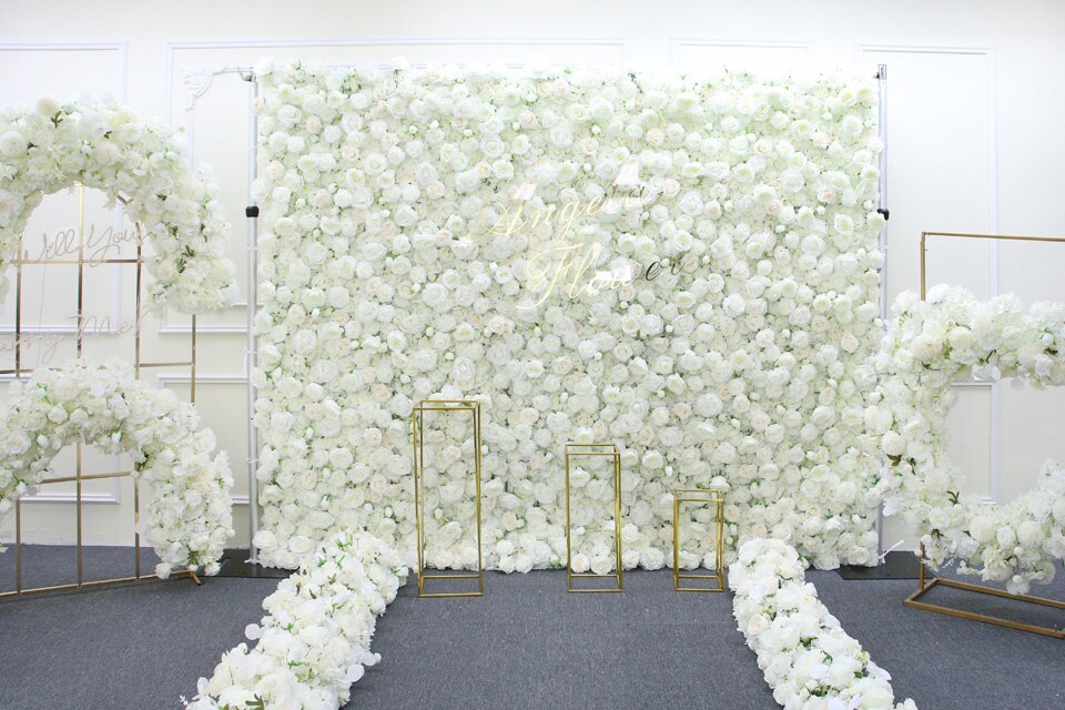 white flower creeping plants over wall1